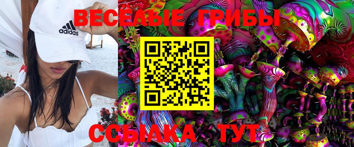 Псилоцибиновые грибы Magic Shrooms Ишим